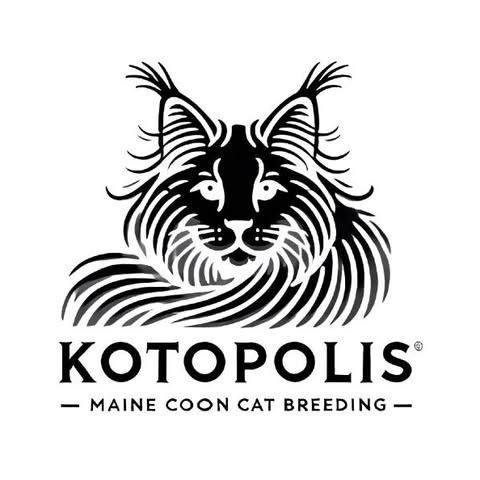 Kotopolis — Maine Coon Cat Breeding